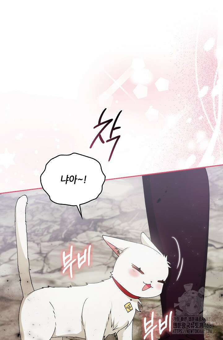 아도니스 284화 9