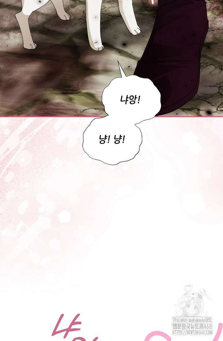 아도니스 284화 10