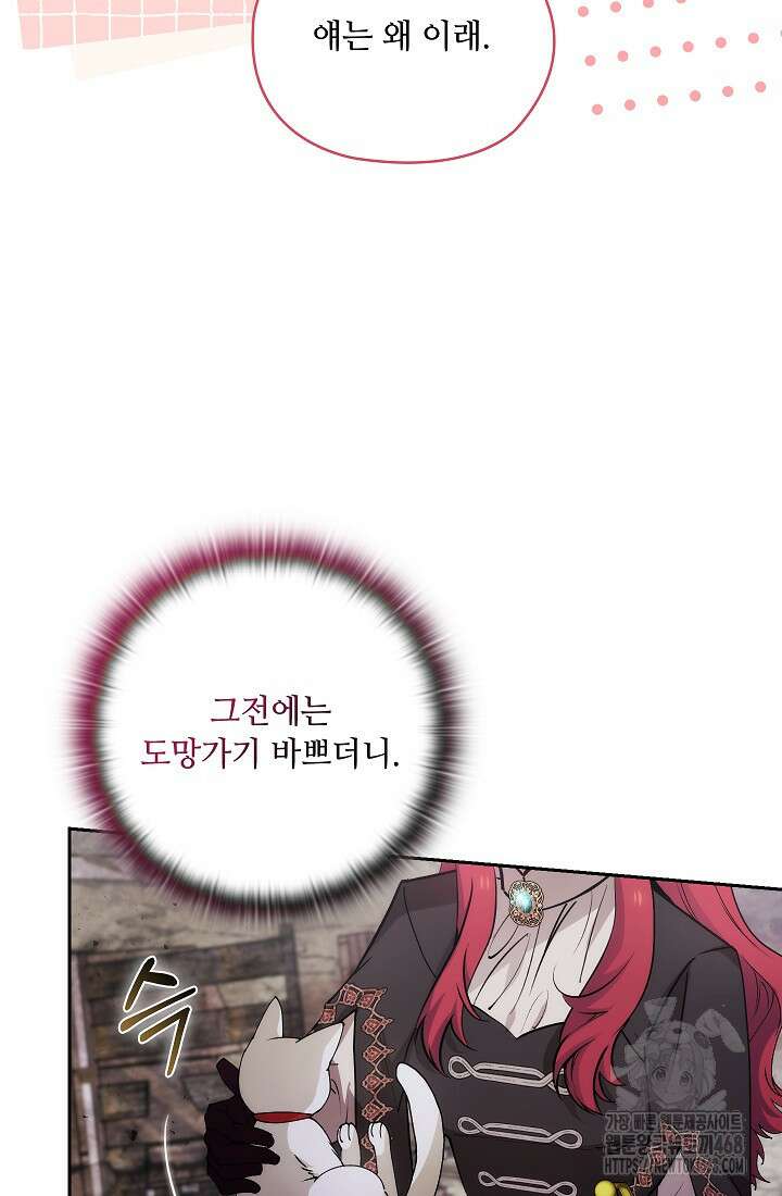 아도니스 284화 12