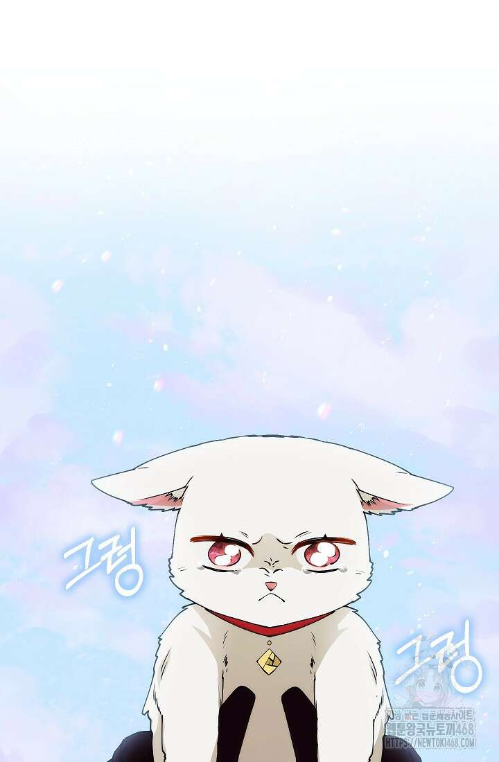 아도니스 284화 15