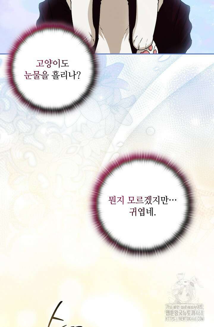 아도니스 284화 16