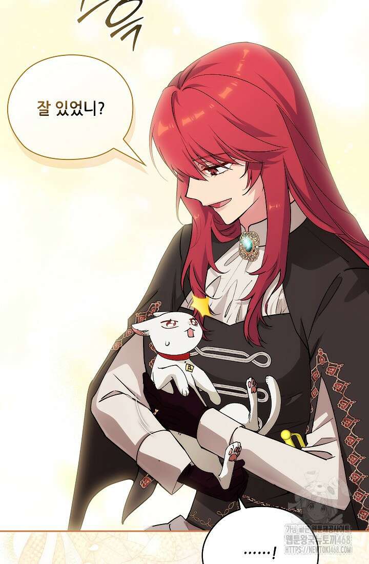 아도니스 284화 17