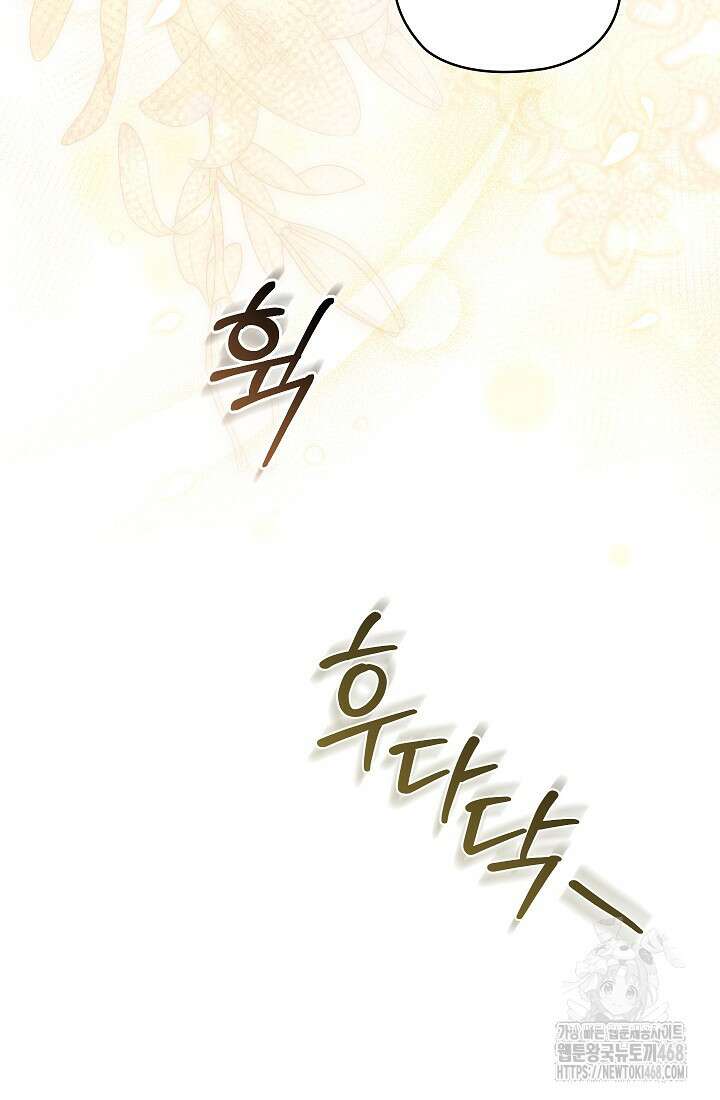 아도니스 284화 18