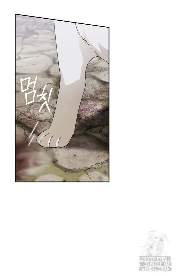 아도니스 284화 19