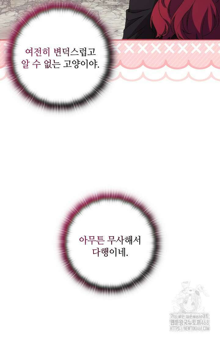 아도니스 284화 21