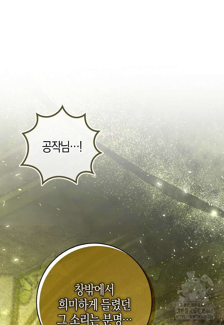 아기 다람쥐가 다 잘해요 104화 4