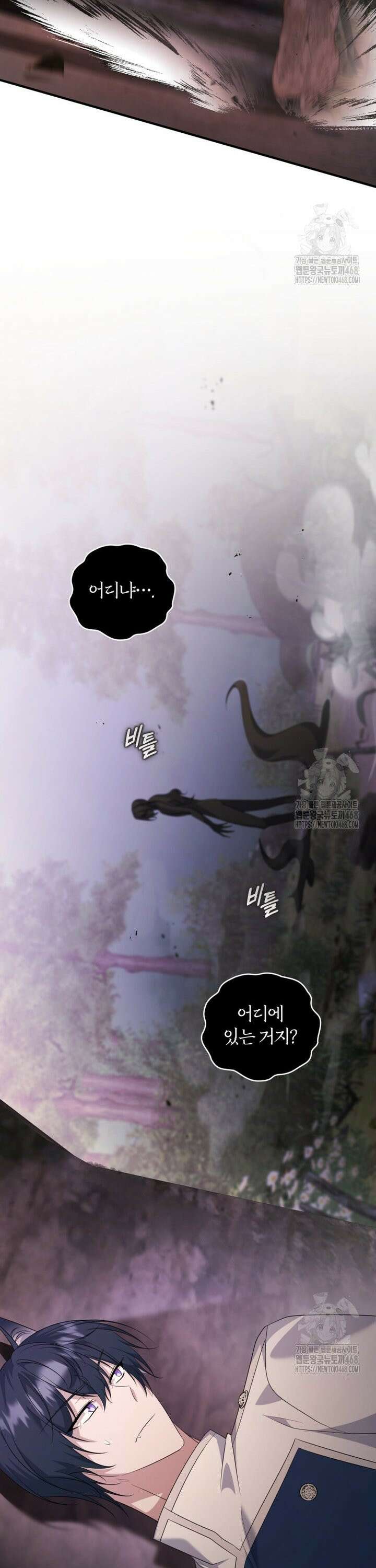빼앗긴 가문의 주인이 되려 합니다 89화 22
