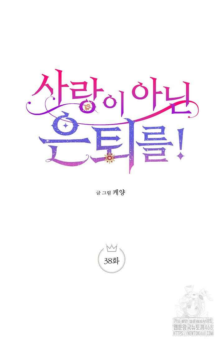 사랑이 아닌 은퇴를 38화 15