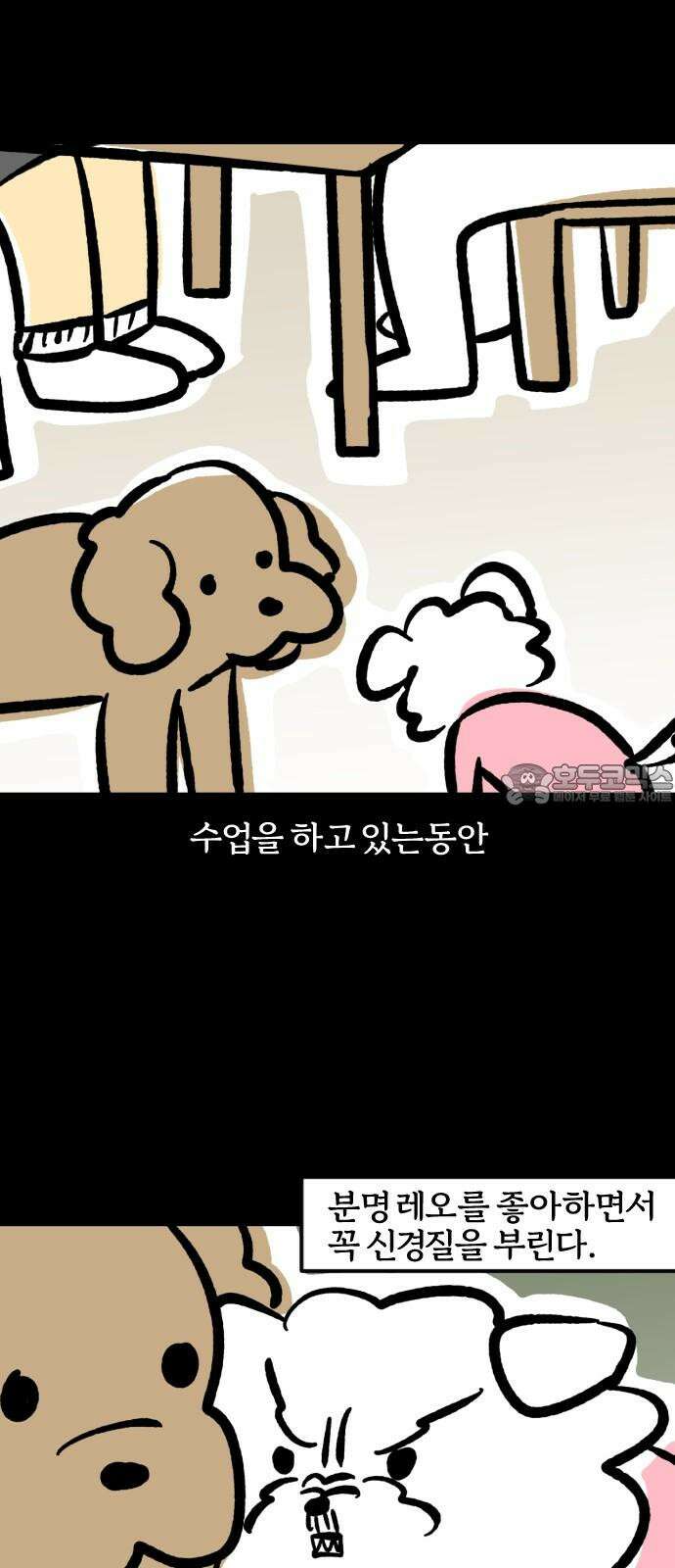 개집사 70화: 아침 드라마 12