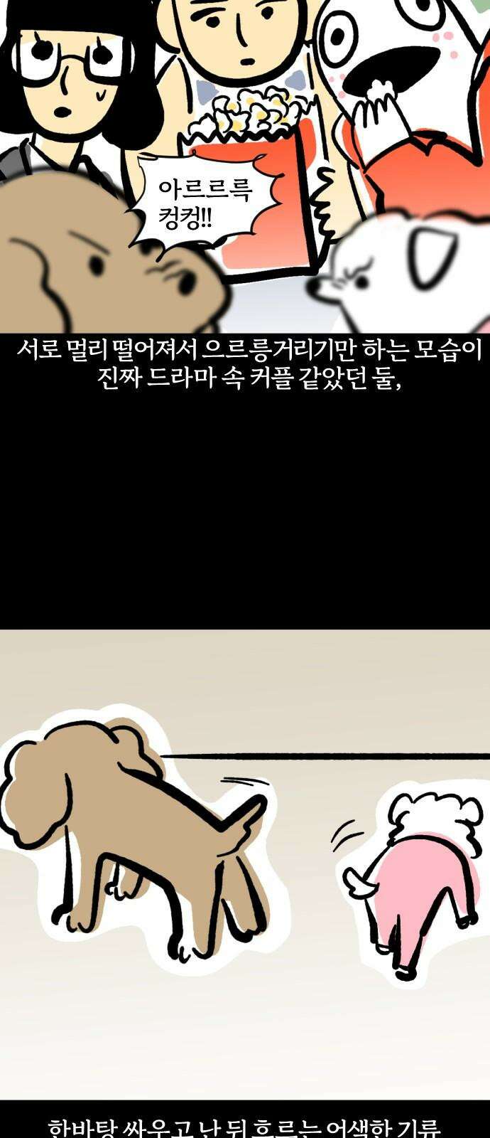 개집사 70화: 아침 드라마 17
