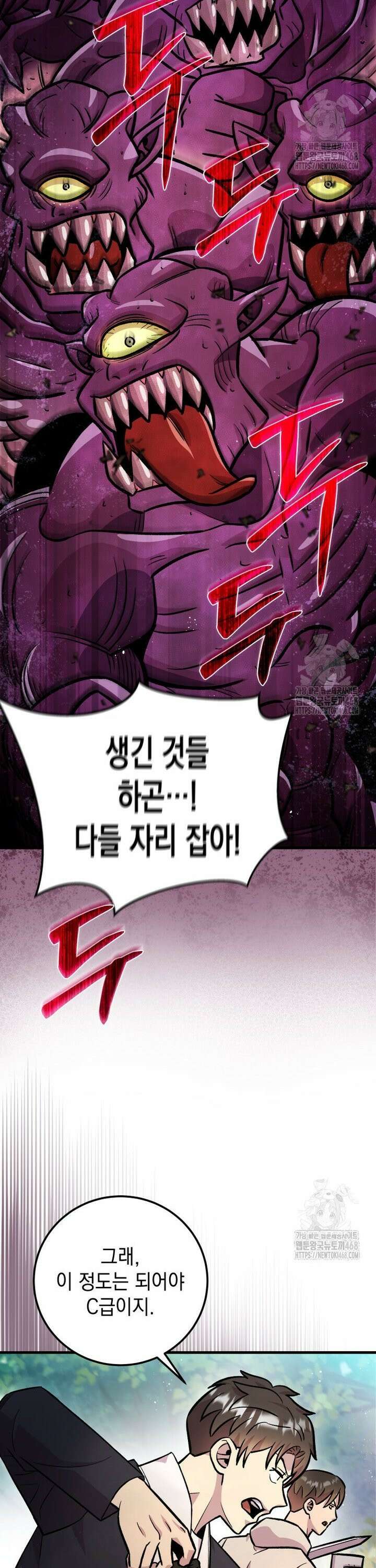 마력이 0.06인 내가 스킬레벨만으로 최강 헌터가 되어 새총의 위대함 14화 12