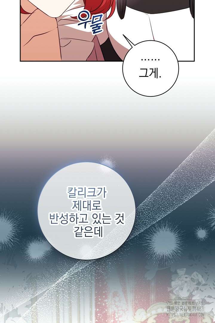 폭군에게 찍힌 민폐 황후입니다 49화 87