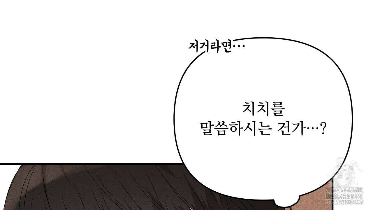 치치 시리즈 47화 96