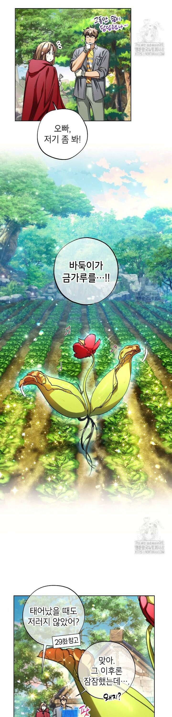 던전 안의 살림꾼 41화 3