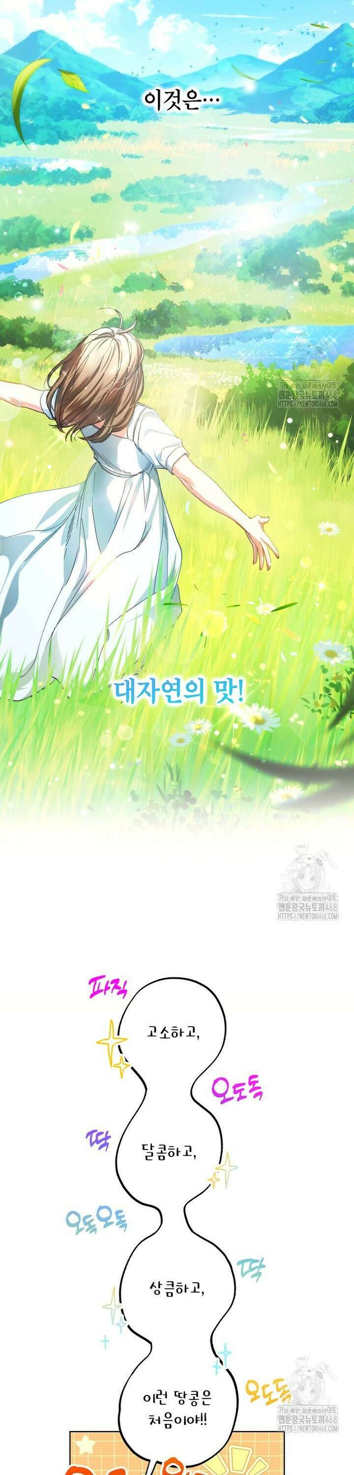 던전 안의 살림꾼 41화 16