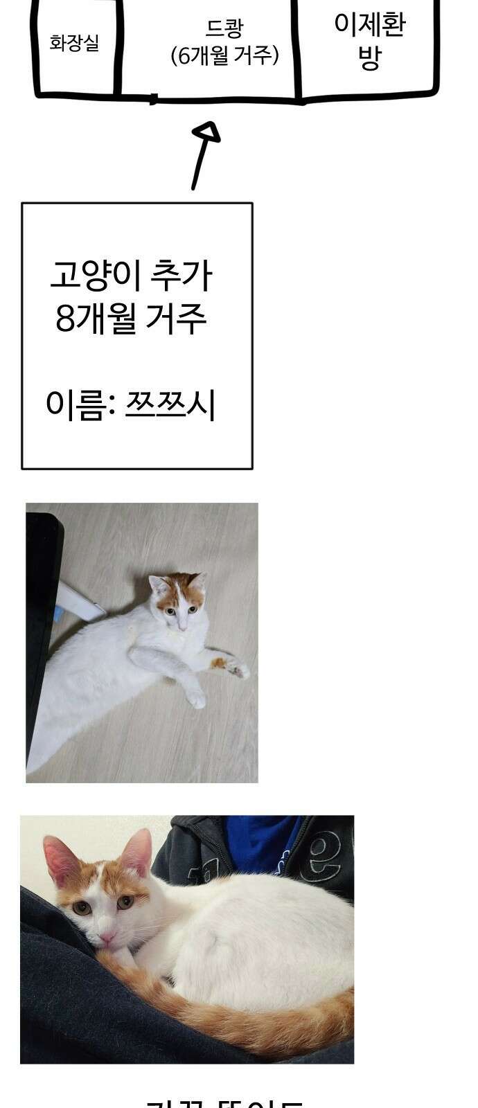 사형집행관 시즌1 후기 32