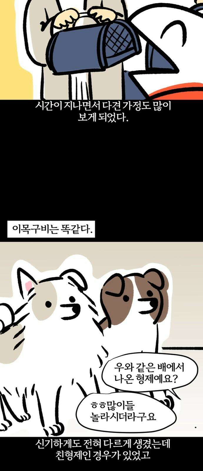 개집사 74화: 내 눈에 흙이 들어가도 안 된다! 4