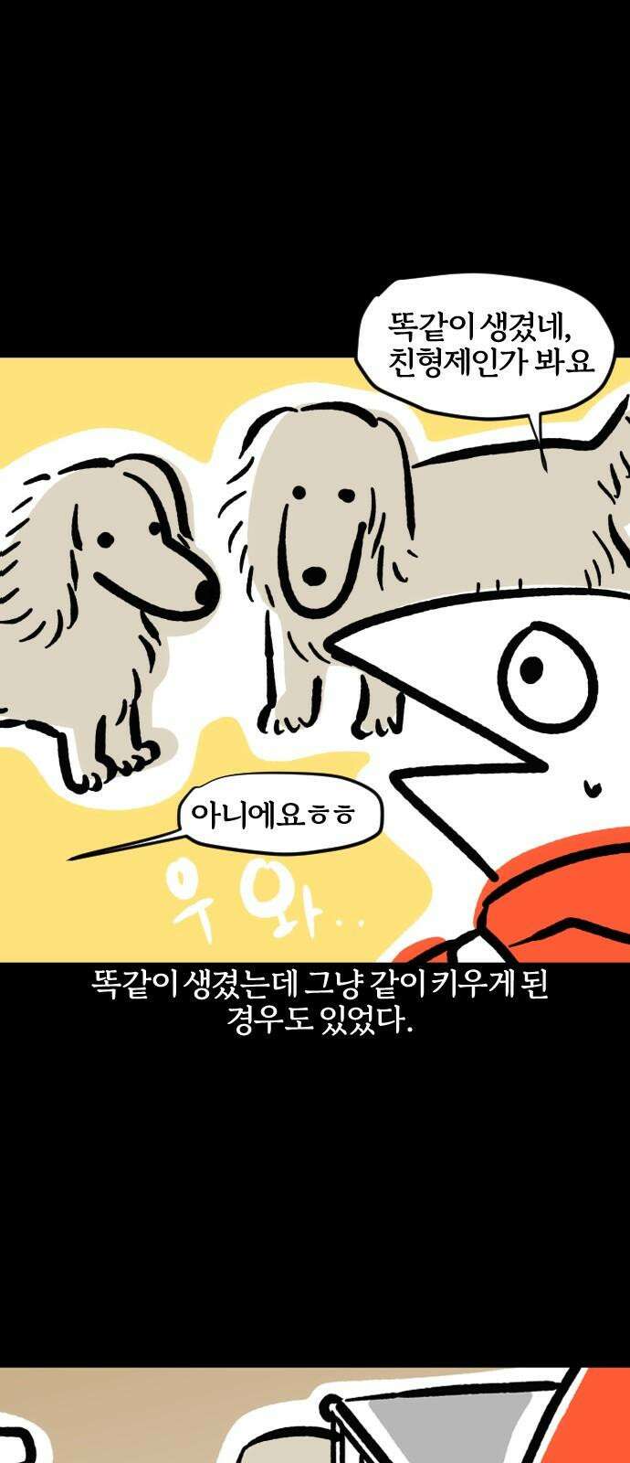 개집사 74화: 내 눈에 흙이 들어가도 안 된다! 5