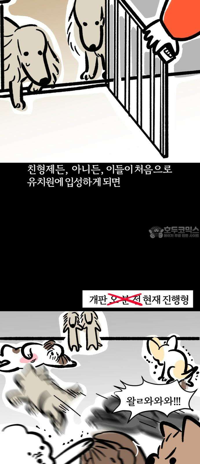 개집사 74화: 내 눈에 흙이 들어가도 안 된다! 6