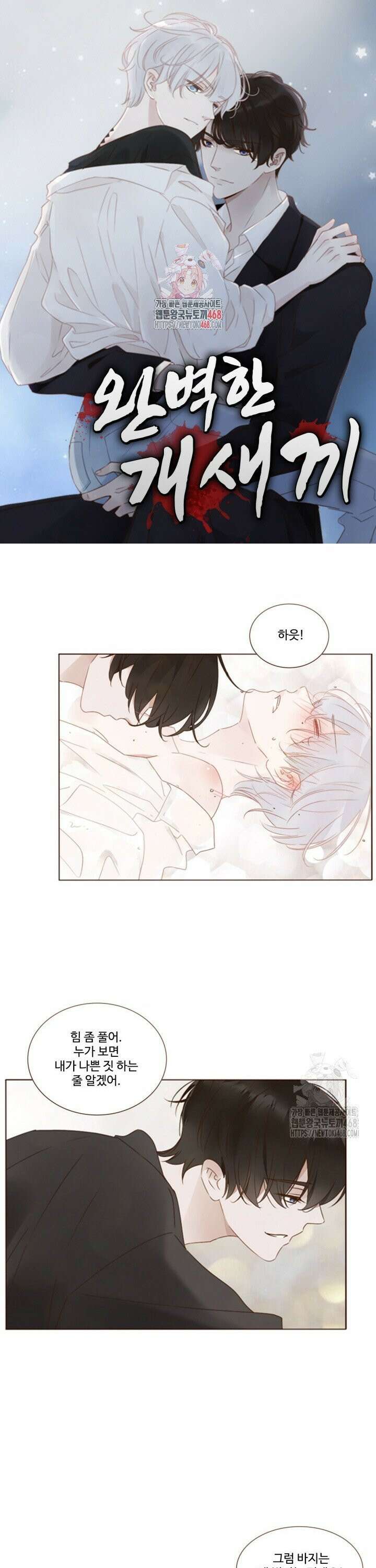 완벽한 개새끼 79화 1