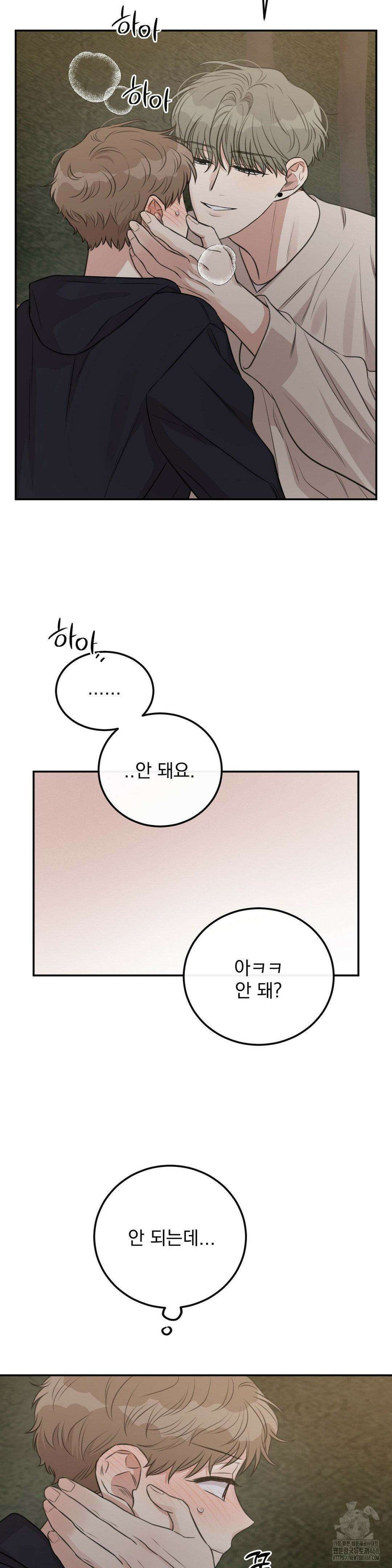 샌드위치 패러독스 12화 5