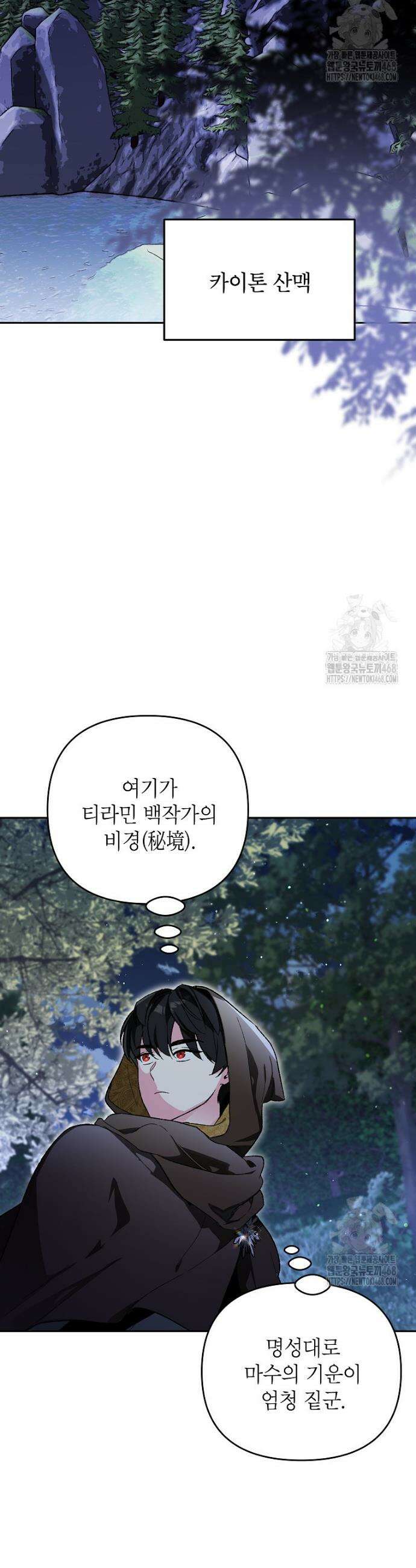 암흑명가 천재 망나니가 되었다 16화 19
