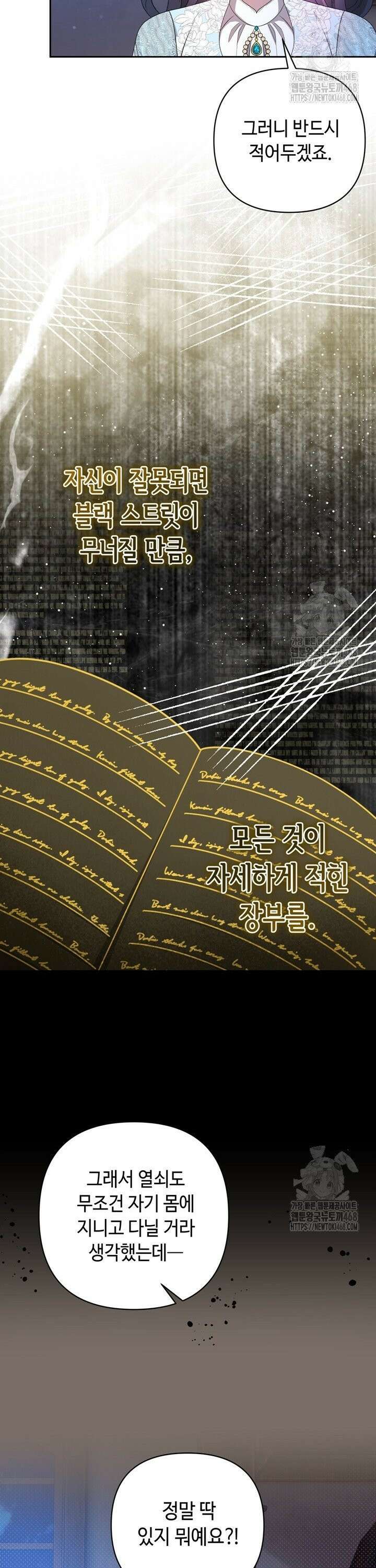 몰락한 왕녀에게는 회귀가 필요합니다 25화 21