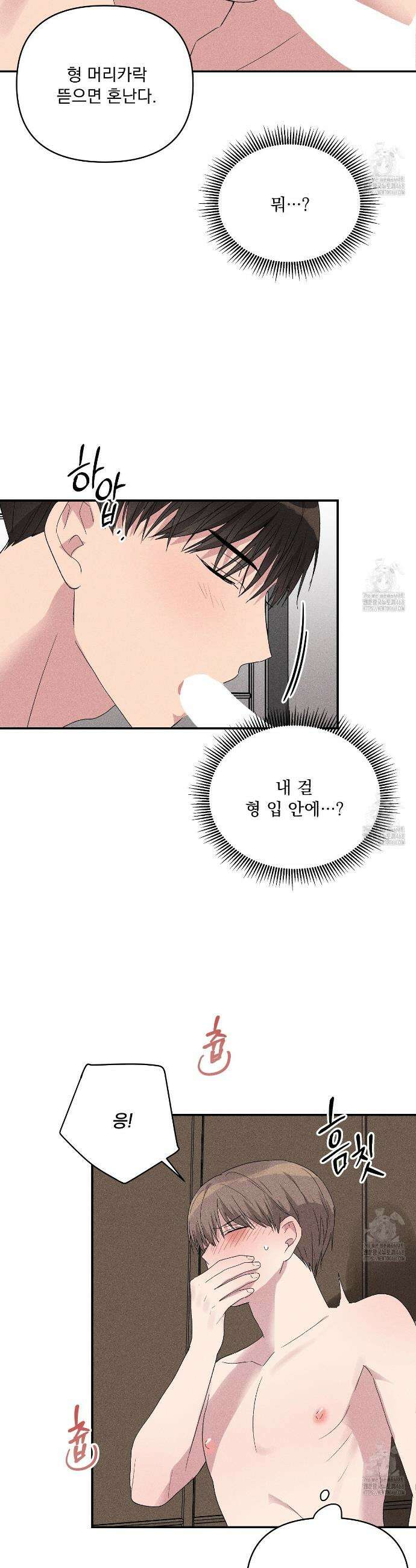 치치 시리즈 50화 10