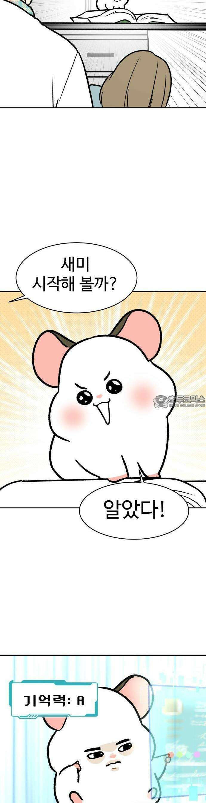 옹달샘 프로젝트 1화 옹달샘의 탄생 9