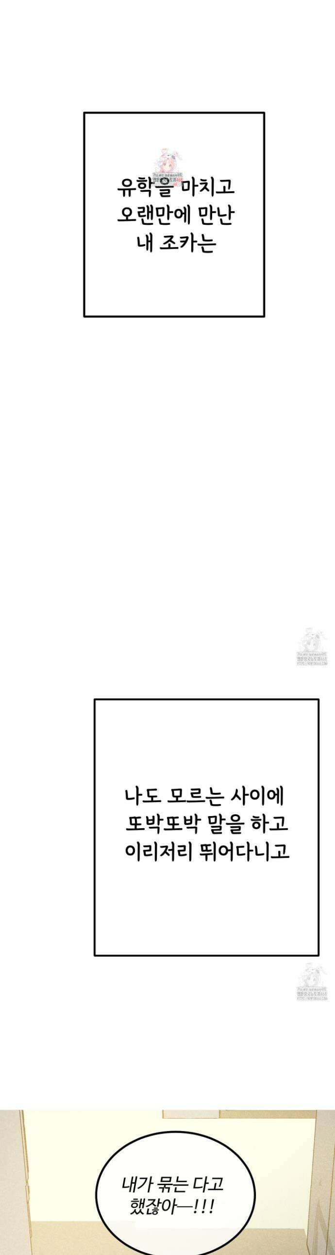 홍점 41화 1