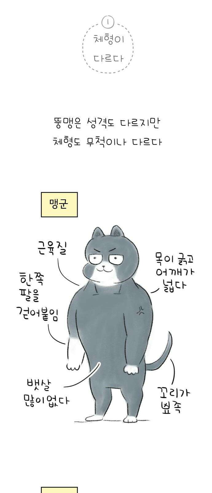 낢이 사는 이야기 - 계속되는 미미한 인생 53화 고양이 2부작 (1) 뚱맹이 단편집 2
