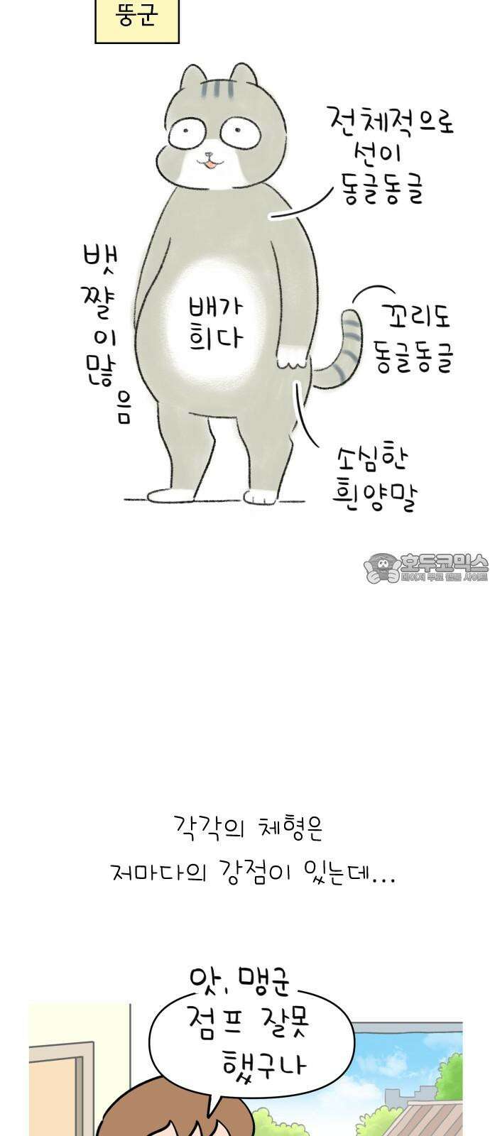 낢이 사는 이야기 - 계속되는 미미한 인생 53화 고양이 2부작 (1) 뚱맹이 단편집 3