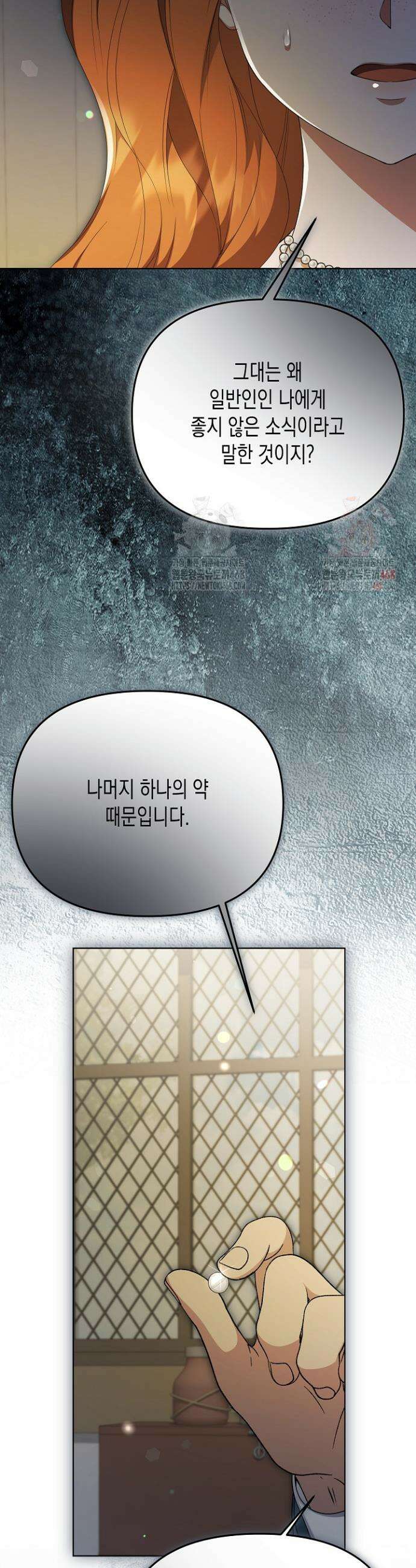 흑막 공작의 못난이 부인 40화 22