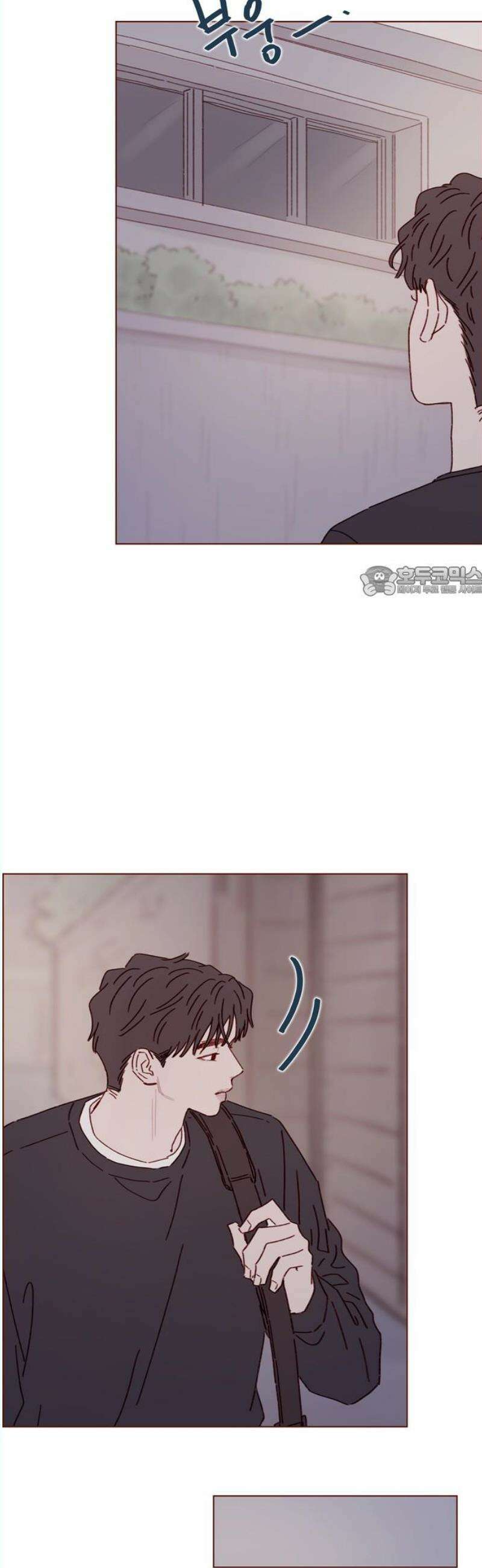 홍시는 날 좋아해 315화 : 너한테는 미안해 11