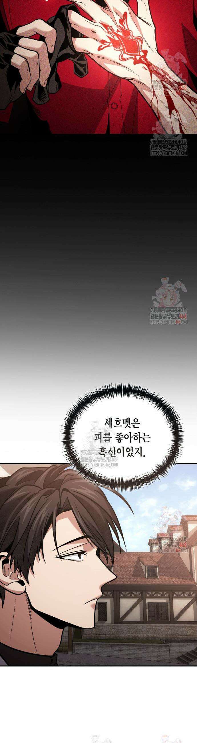 야매 힐러로 사는 법 102화 26