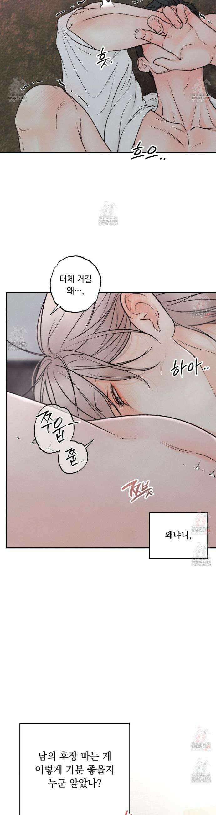 미혹의 경계 19화 3