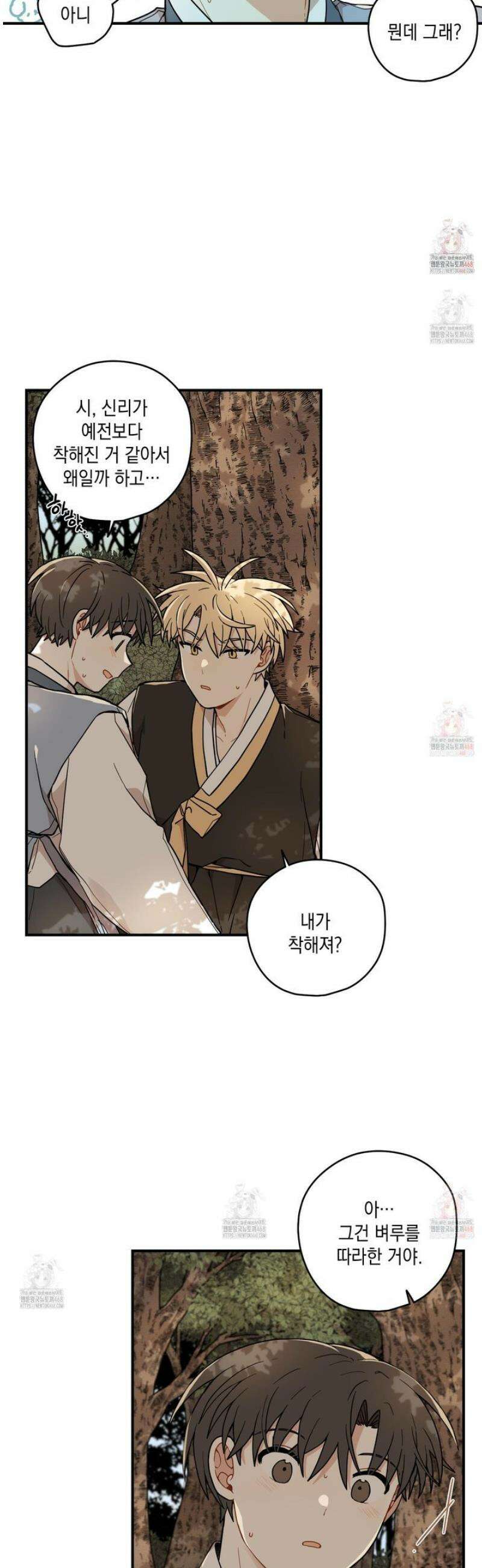 개나리가 떨어진 길 82화 19