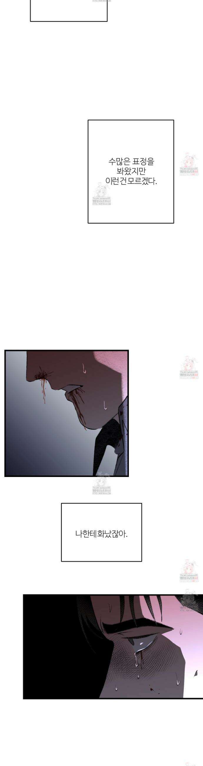 멜트 블레스 유 71화 9
