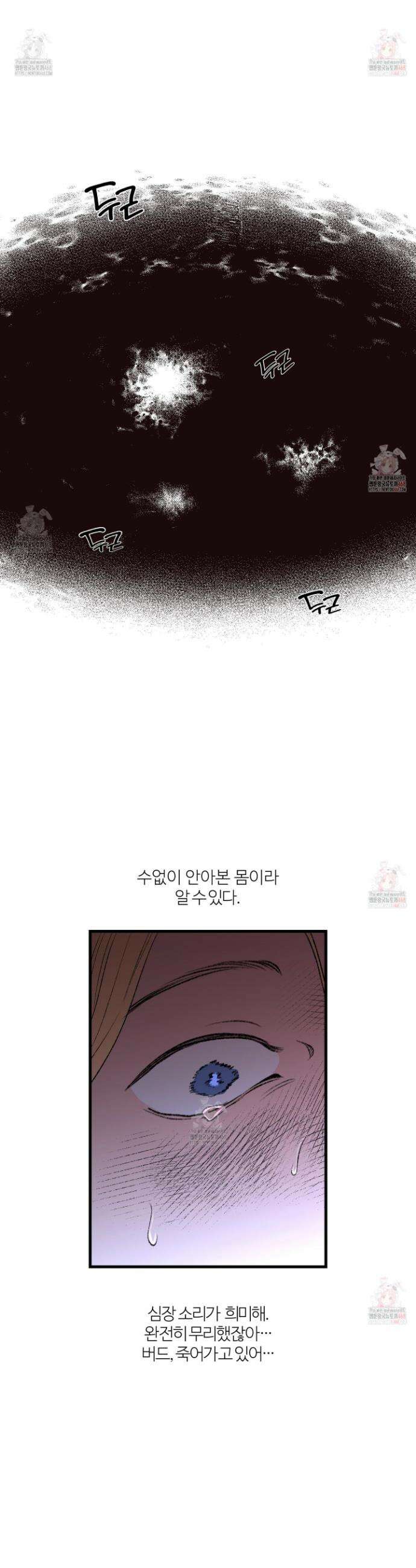 멜트 블레스 유 71화 19