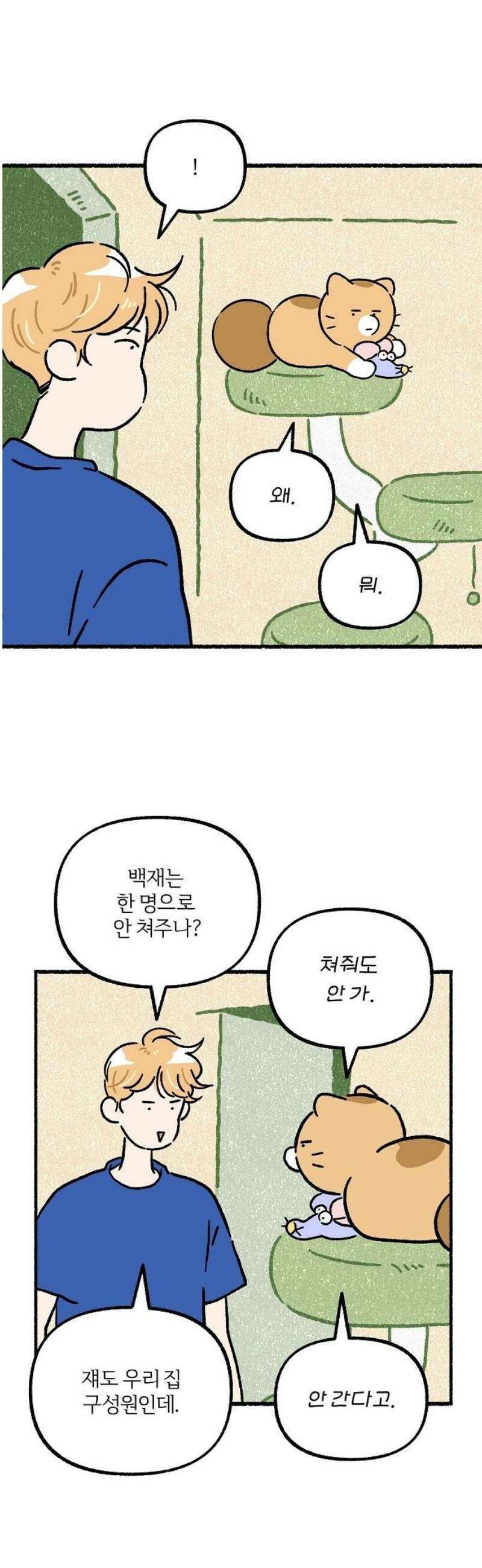 천재, 만재, 백재! 20화 프로젝트 만친만(1) 5