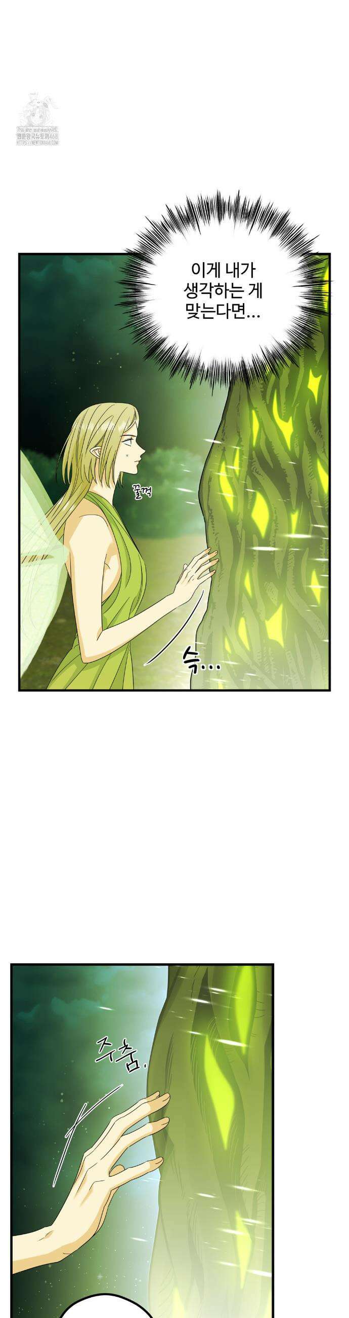 페어리 페어링 63화 2