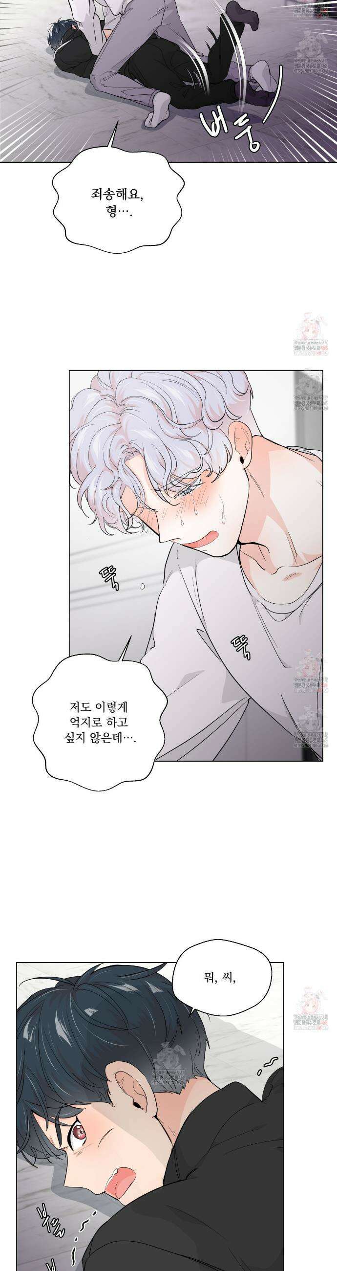 호랑이 생일 떡 2화 4