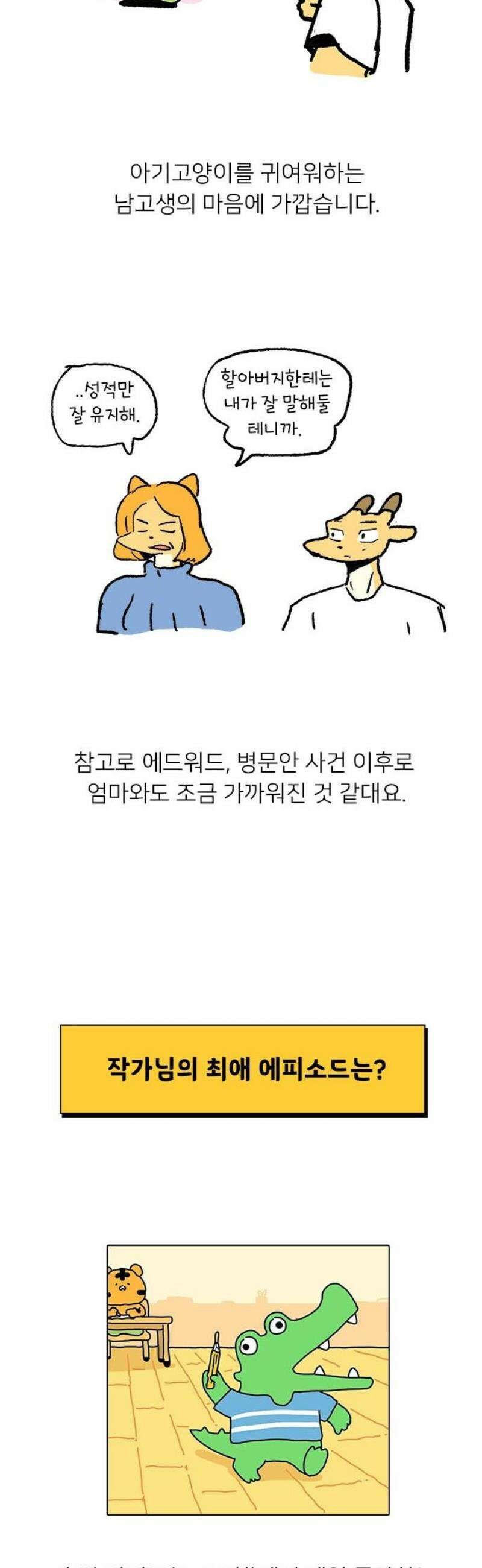 소심한 호랭이 코코 시즌1 후기 10