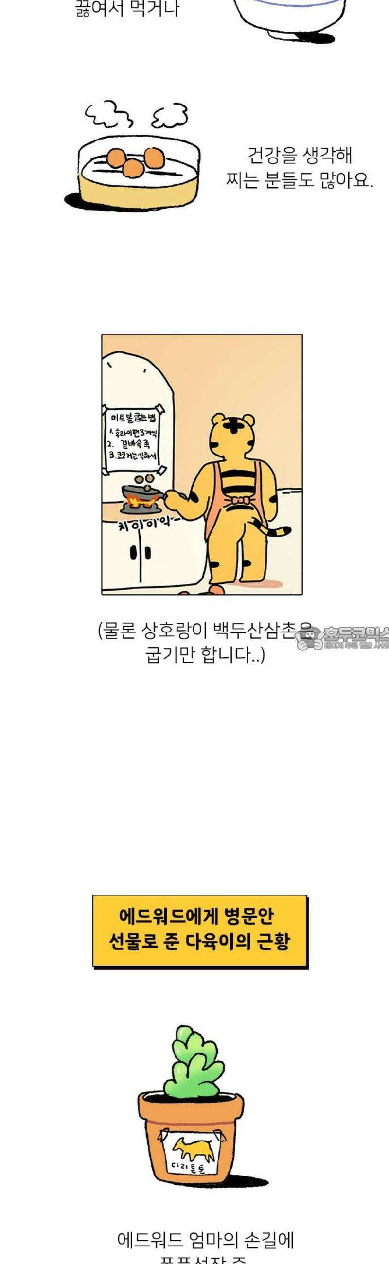 소심한 호랭이 코코 시즌1 후기 13
