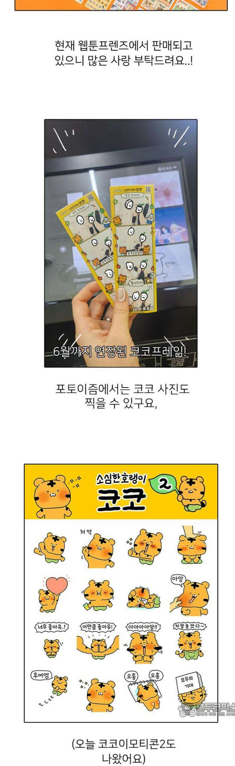 소심한 호랭이 코코 시즌1 후기 19