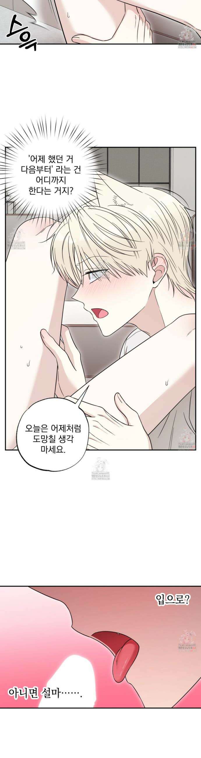 냥자친구 길들이기 7화 2