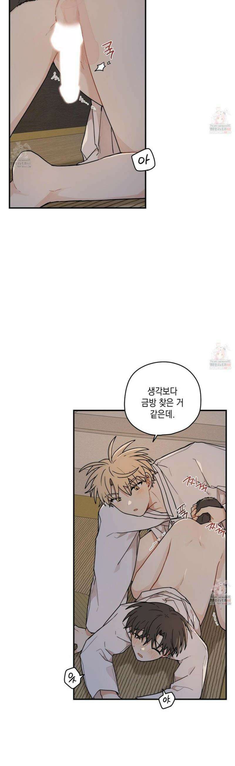 개나리가 떨어진 길 84화 23