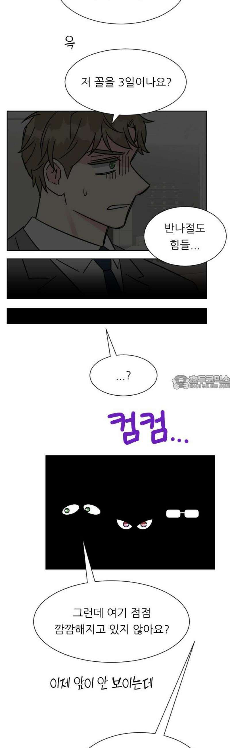 사장님과 공주님 47화 신혼부부 13