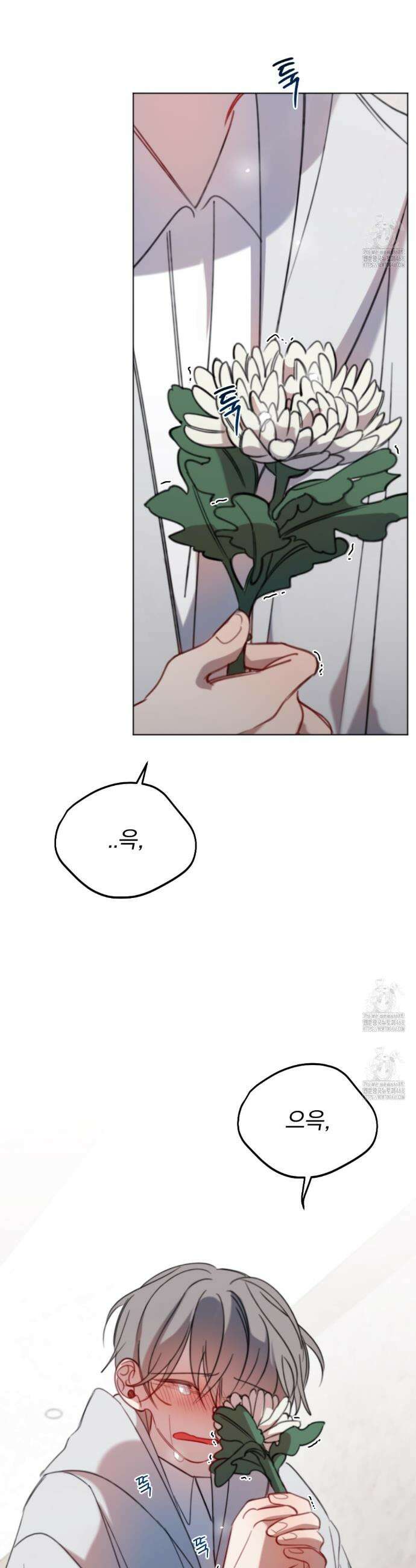 시나브로 43화 11