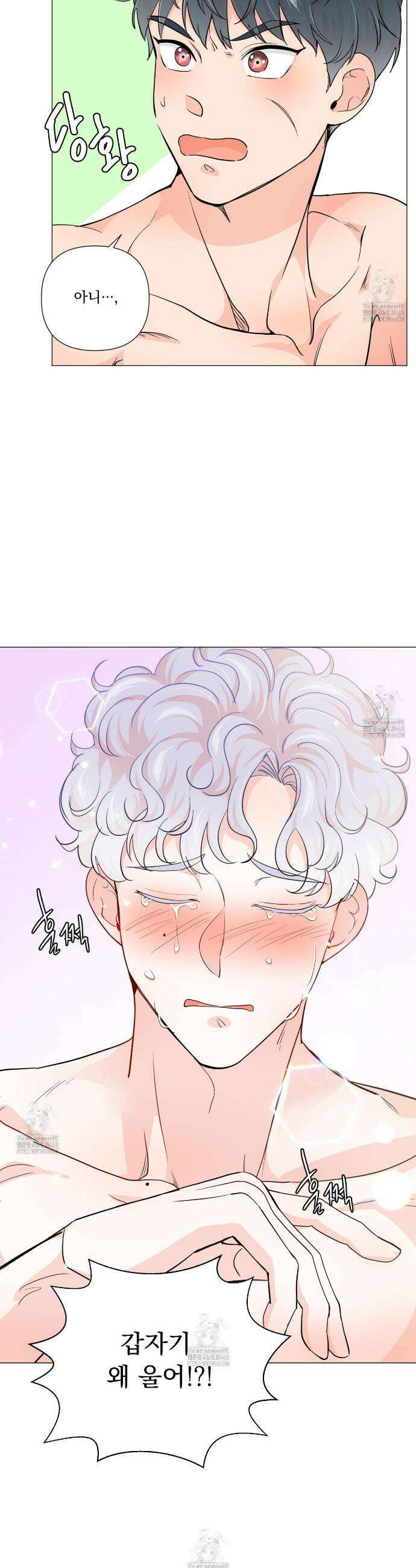 호랑이 생일 떡 8화 14